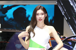 Shanghai, as a developing country, faces many challenges such as insufficient energy supply and environmental pollution. However, this country has abundant renewable energy resources, especially solar